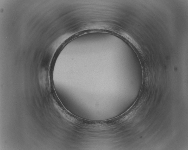 X0000077390980200611031957