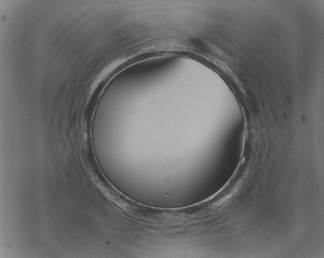 X0000077390981200611031957