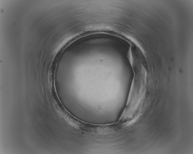 X0000077390983200611031957