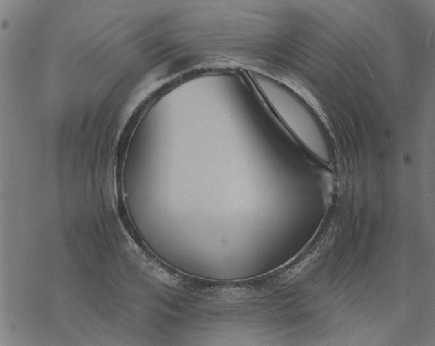 X0000077390984200611031957