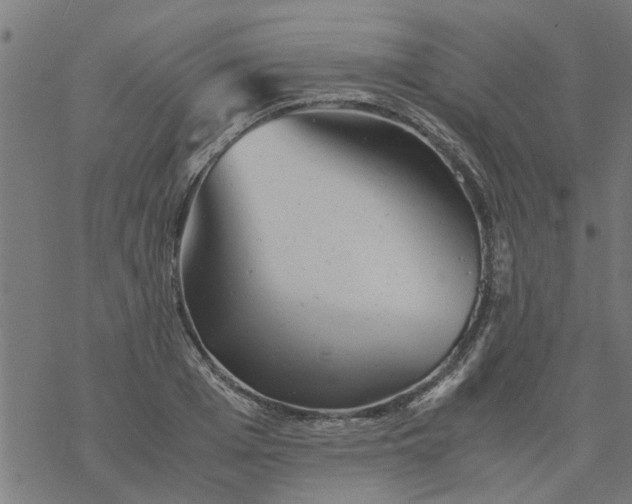 X0000077390985200611031957