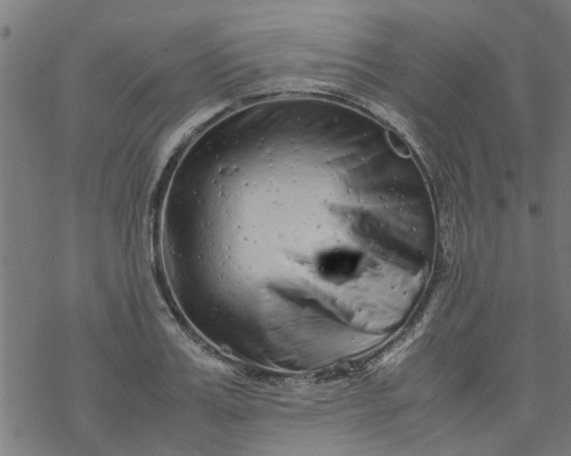 X0000077390987200611031957