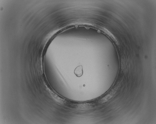 X0000077390988200611031957