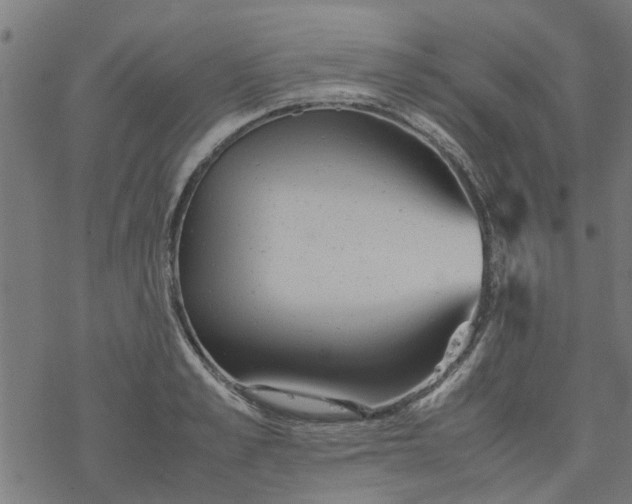 X0000077390989200611031957