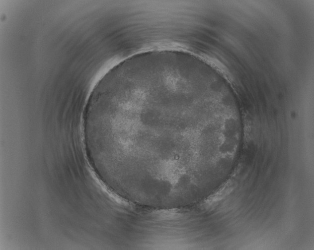 X0000077390990200611031957