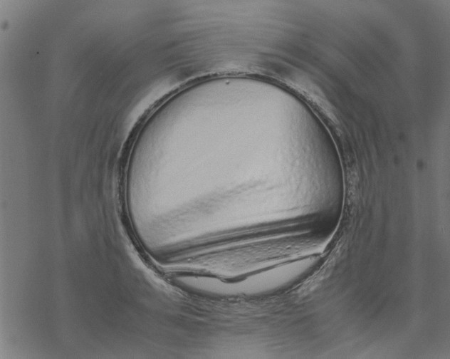 X0000077390991200611031957