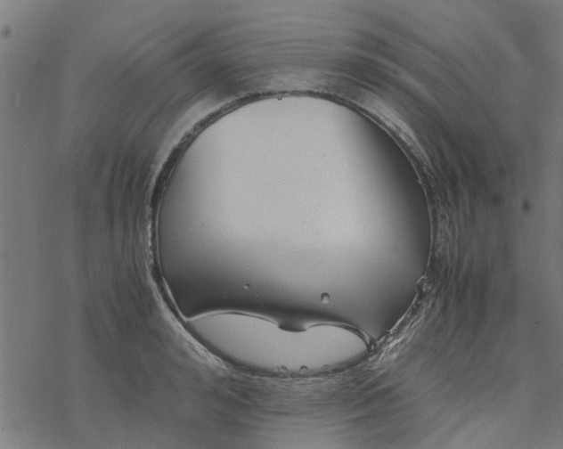 X0000077390992200611031957