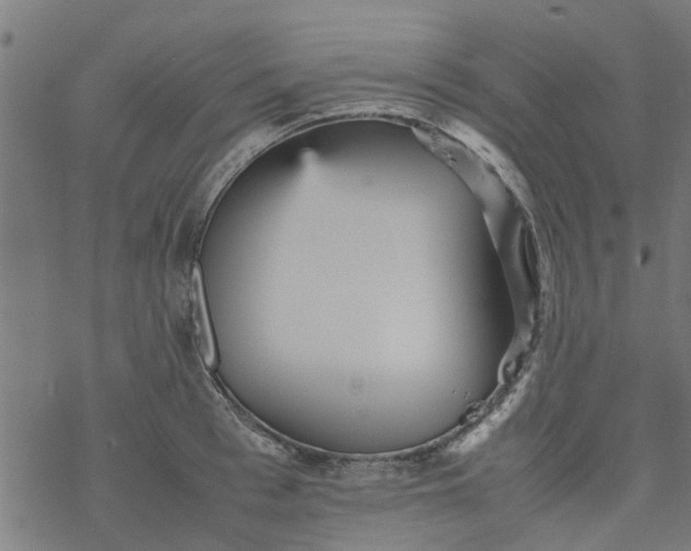 X0000077390993200611031957