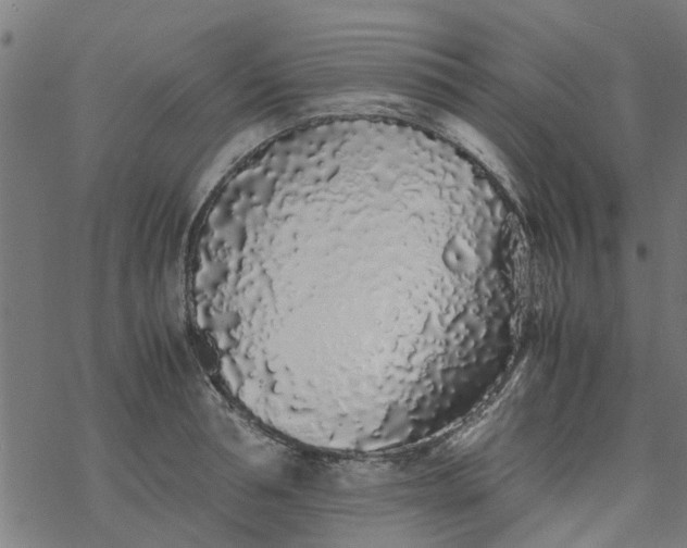 X0000077390994200611031957