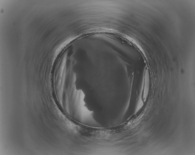 X0000077390995200611031957