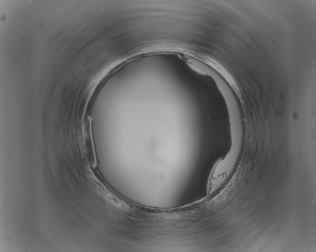 X0000077390996200611031957