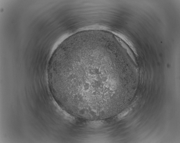 X0000077390998200611031957