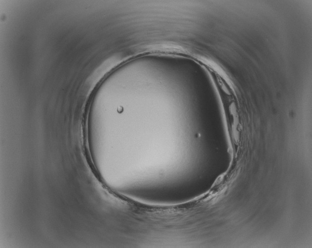 X0000077390999200611031957