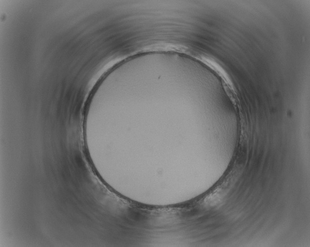 X0000077391000200611031957