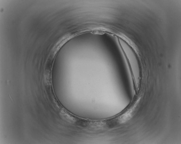 X0000077391001200611031957