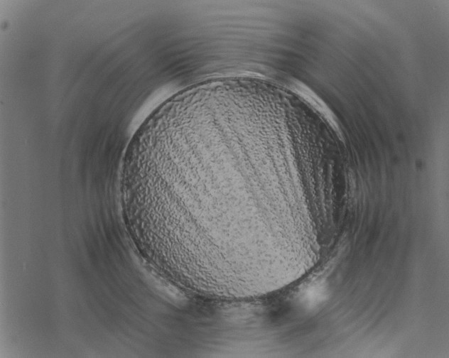 X0000077391002200611031957