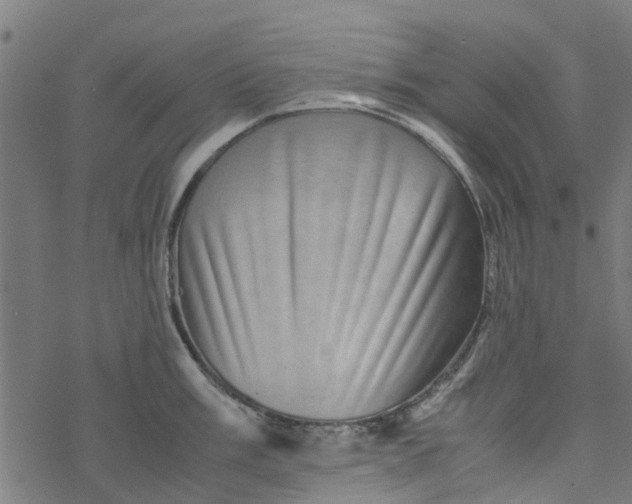 X0000077391003200611031957