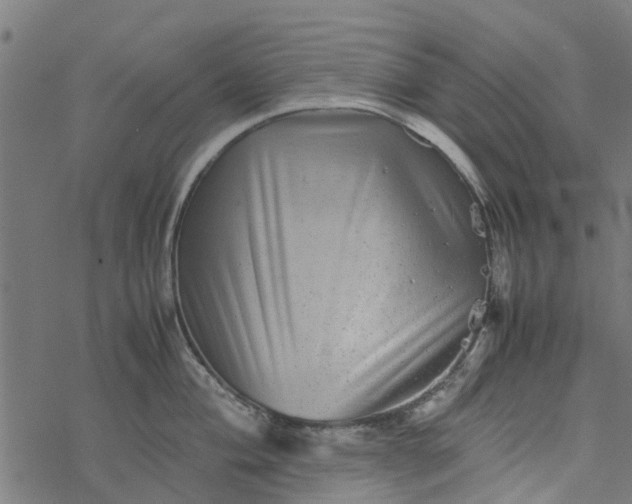 X0000077391004200611031957