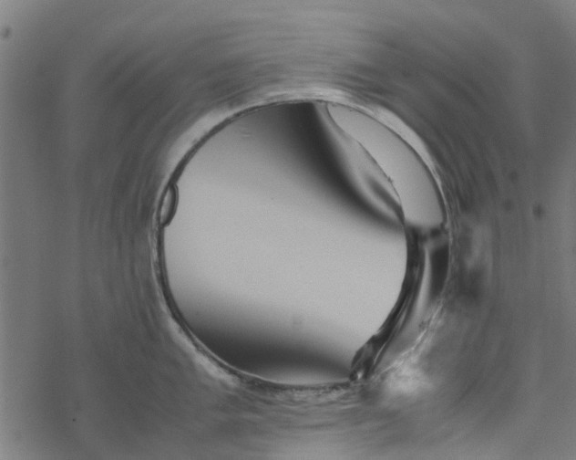 X0000077391005200611031957