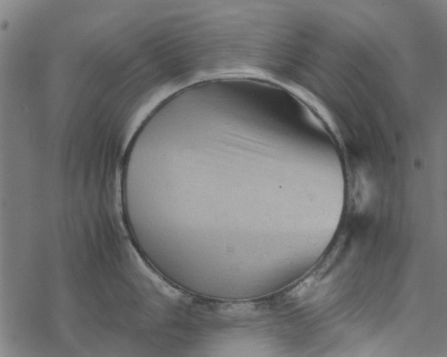 X0000077391006200611031957