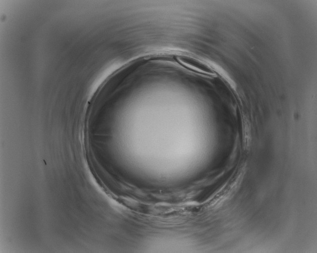 X0000077391007200611031957