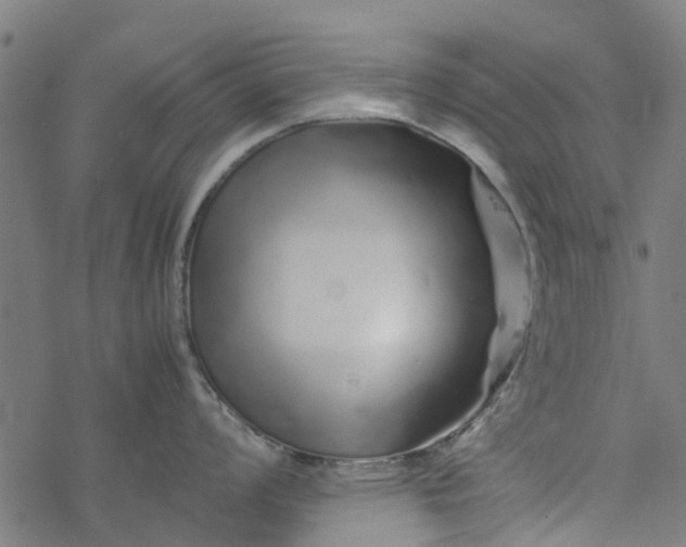 X0000077391008200611031957