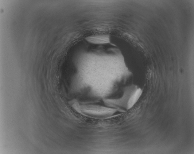 X0000077391009200611031956