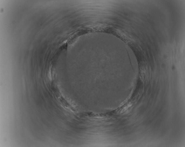 X0000077391010200611031956