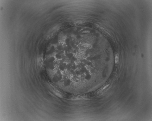 X0000077391011200611031956