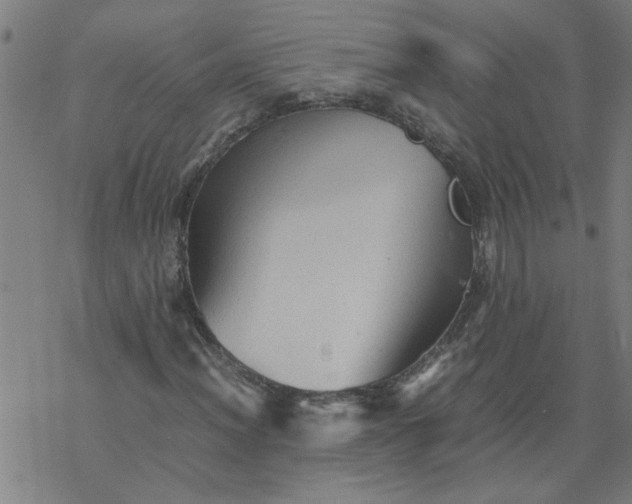 X0000077391012200611031956