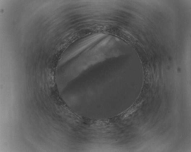 X0000077391013200611031956