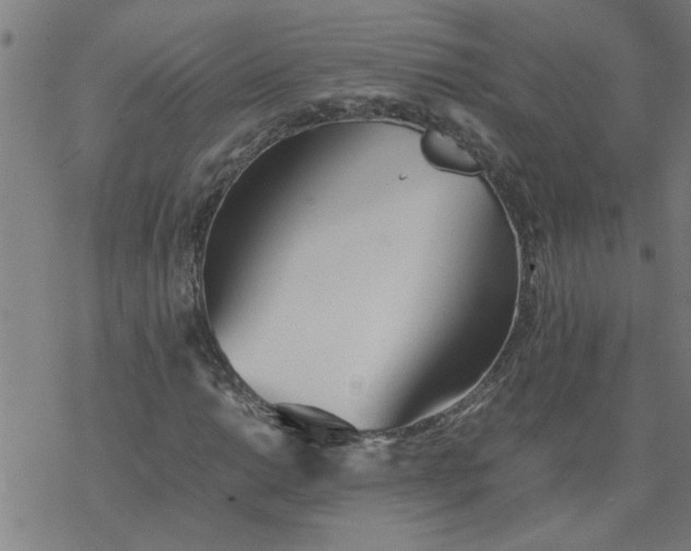 X0000077391014200611031956