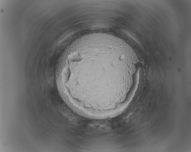 X0000077391015200611031956