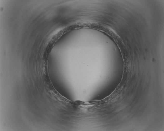 X0000077391016200611031956