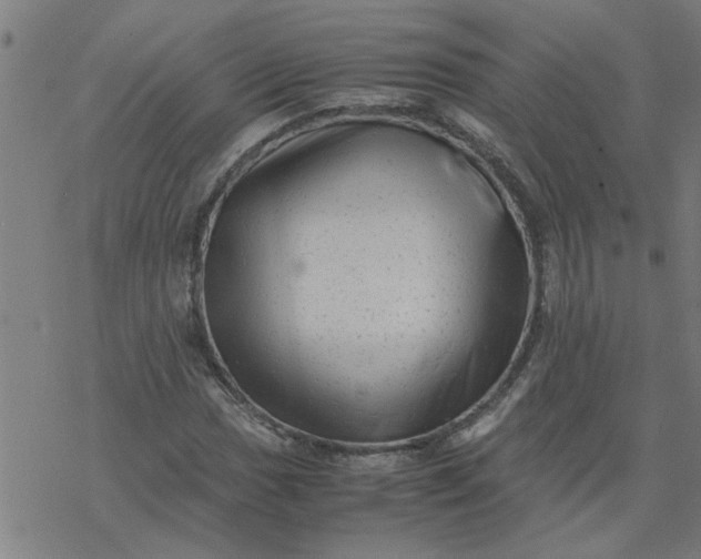 X0000077391017200611031956