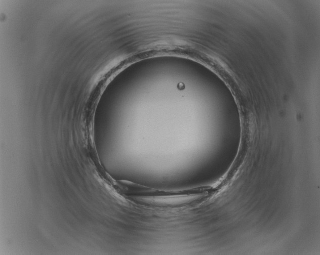 X0000077391018200611031956