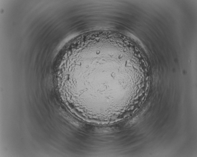 X0000077391019200611031956