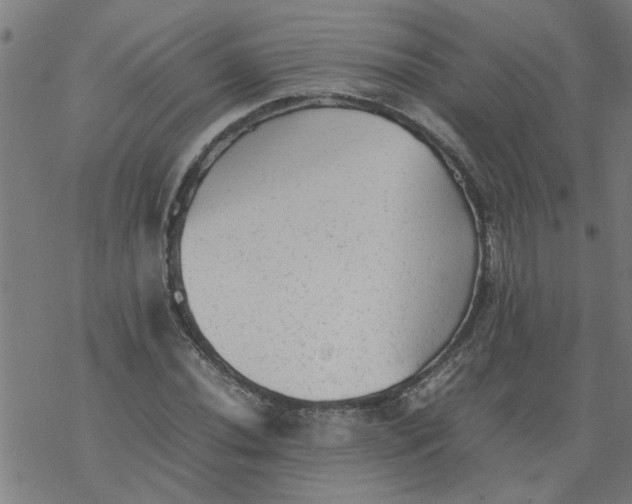 X0000077391020200611031956