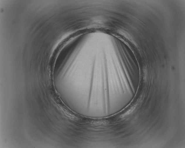 X0000077391021200611031956