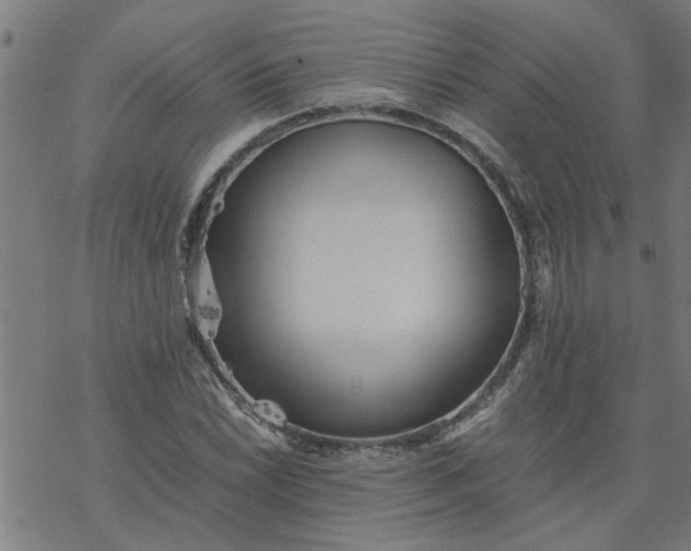 X0000077391022200611031956