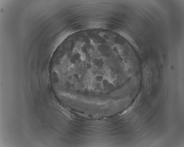 X0000077391023200611031956