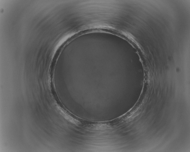 X0000077391024200611031956