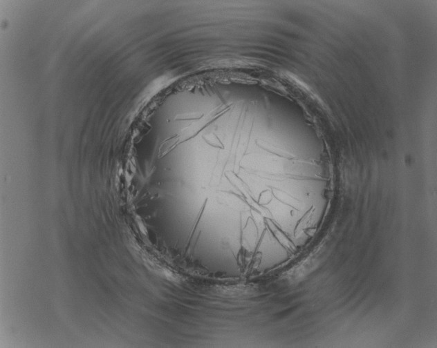 X0000077391025200611031956