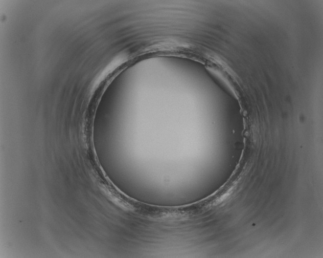 X0000077391026200611031956