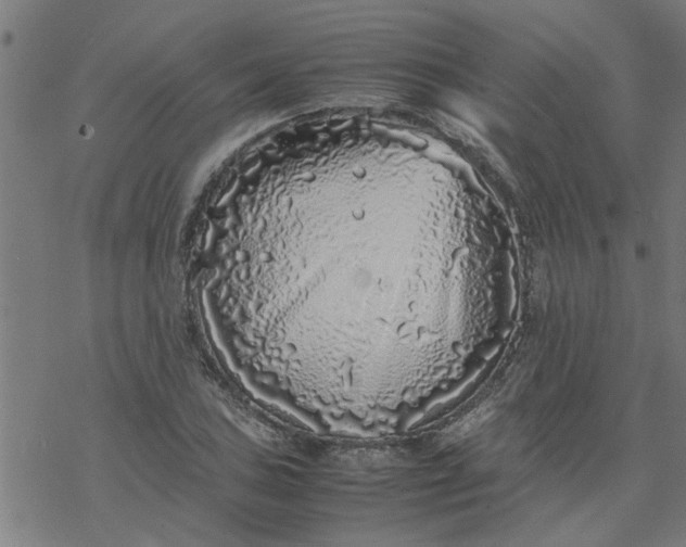 X0000077391027200611031956