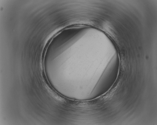 X0000077391028200611031956