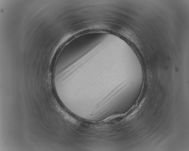 X0000077391029200611031956