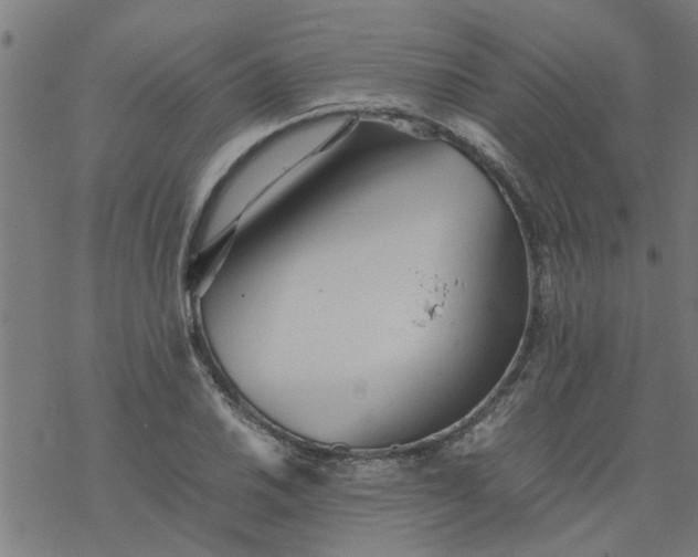 X0000077391030200611031956