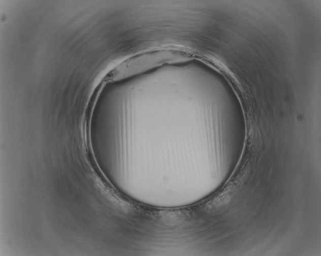 X0000077391032200611031956