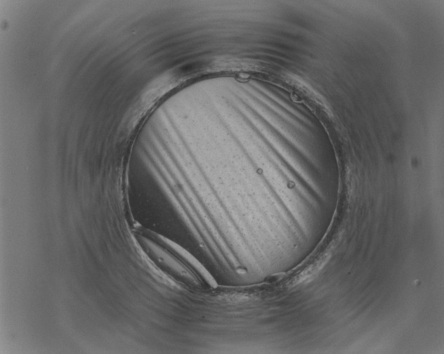 X0000077391033200611031956